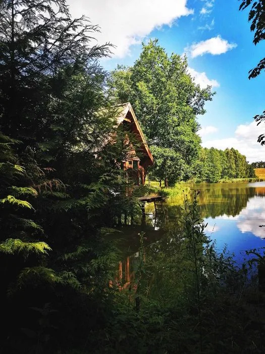 domek nad jeziorem w lesie, cisza, urlop. sauna, łowisko, grzyby, – zdjęcie 5