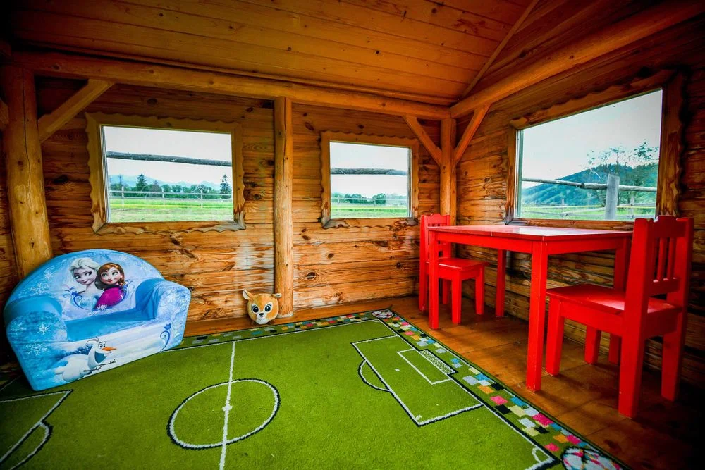 Duży domek w górach na max 20 osób , na wyłączność sauna Sylwester Zakopane noclegi – zdjęcie 12