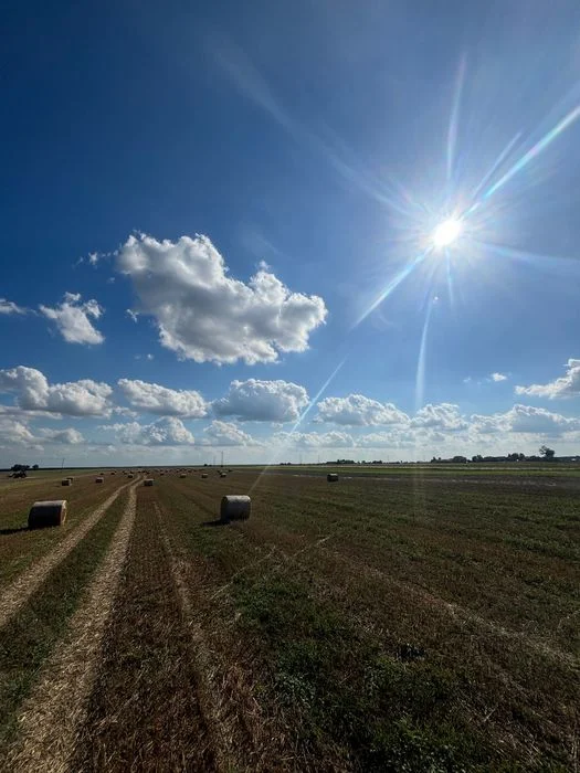 Agroturystyka pod Lasem – zdjęcie 5