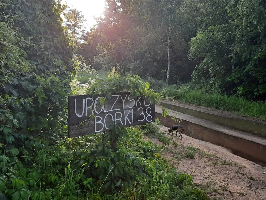 Noclegi Podlasie Supraśl Borki WOLNY WEEKEND w Uroczysku Chata z bala – zdjęcie 11