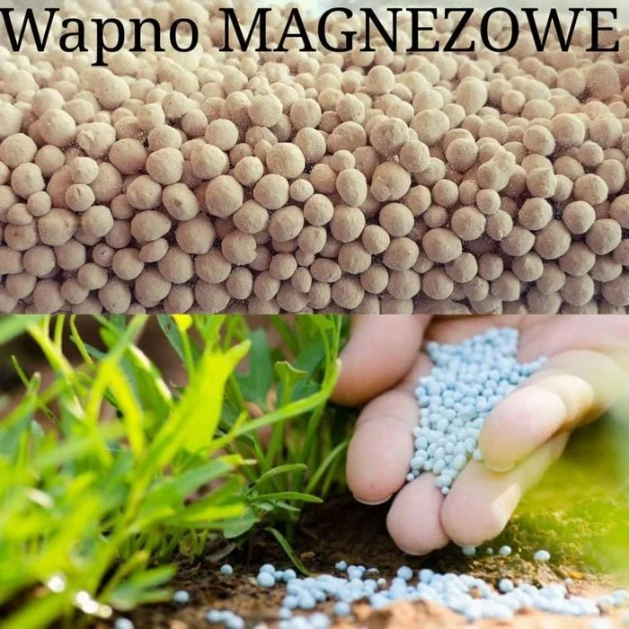 Wapno granulowane magnezowe ,kreda, czarna kreda z humusem – zdjęcie 2