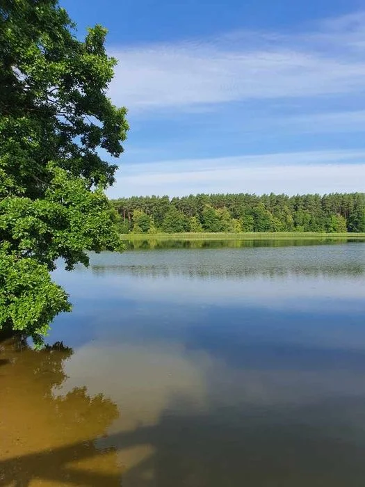 Wynajmę mieszkanie – zdjęcie 11