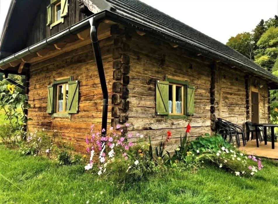 Bieszczady – Domek na odludziu – Konie, San, sauna, jacuzzi – zdjęcie 2