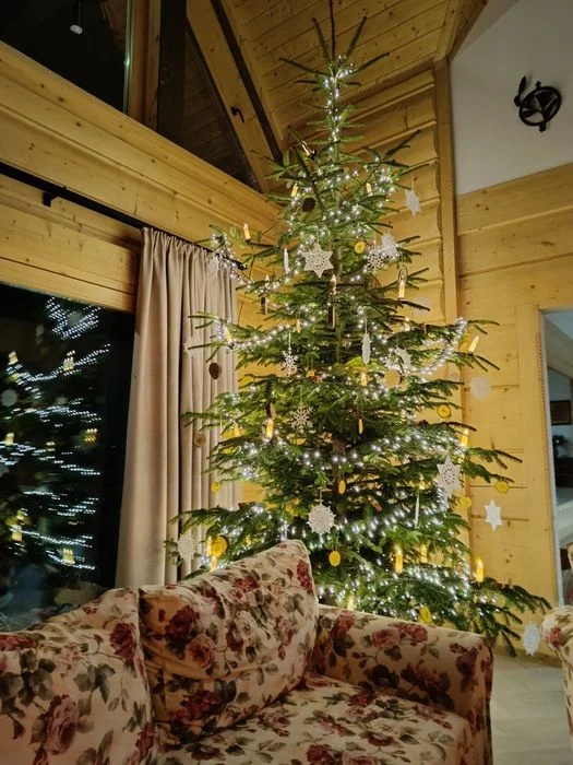 Chata za wsią,Mizerna,kawalerski,góry,wakacje,spa,jezioro,balia,sauna – zdjęcie 6