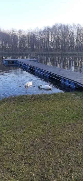 Agroturystyka, domek do wynajęcia całoroczny , klimatyzowany – zdjęcie 9