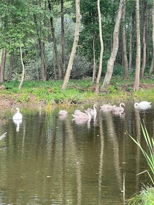 Agroturystyka, domek do wynajęcia całoroczny , klimatyzowany – zdjęcie 12