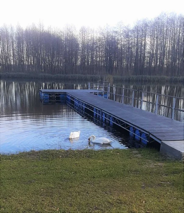 Agroturystyka, domek do wynajęcia całoroczny , klimatyzowany – zdjęcie 10