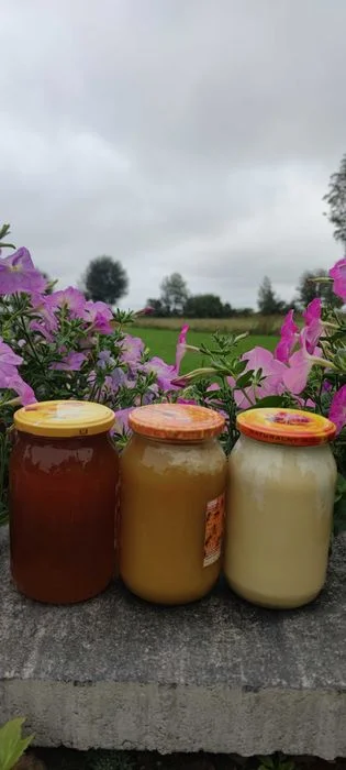 Miód prosto z pasieki