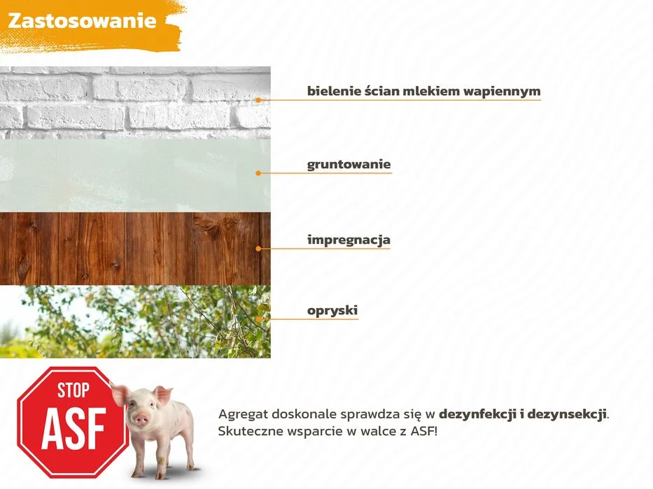 AGREGAT Do Bielenia I Dezynfekcji 18L Części Osprzęt pistolet do bielenia – zdjęcie 2