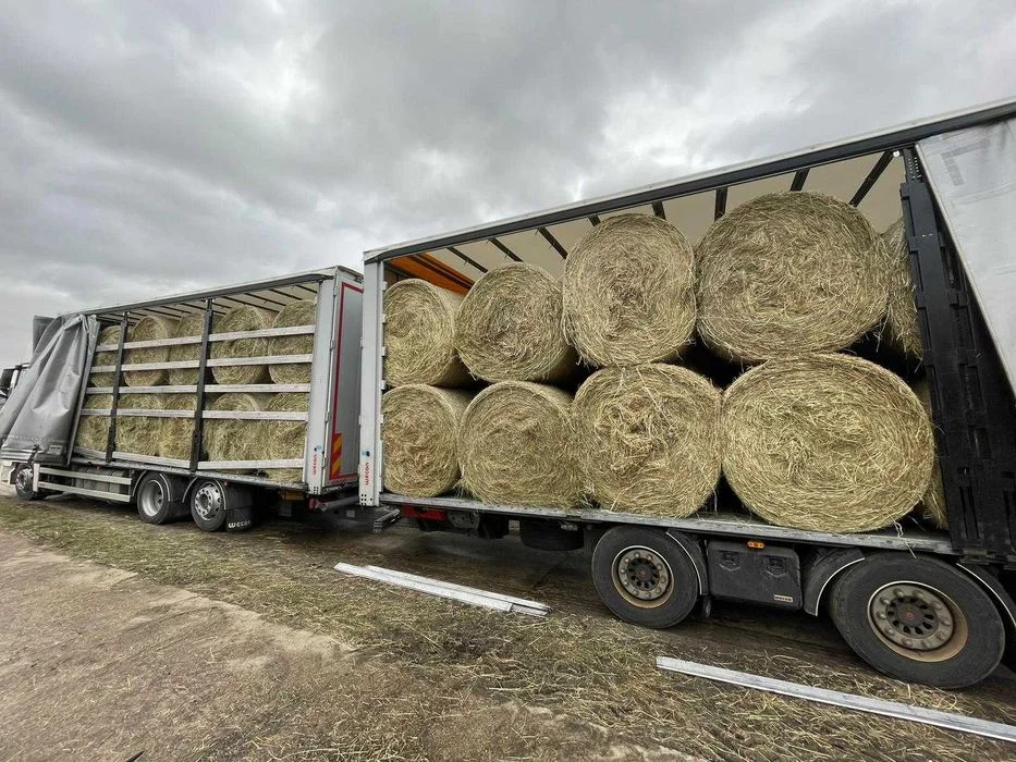 SIANO suche ze stodoły oraz Słoma (bele, kostka) GRATIS, CAŁA POLSKA – zdjęcie 4