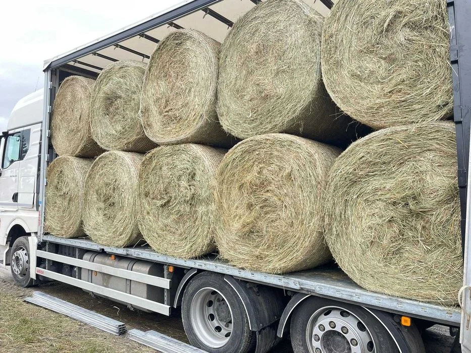 SIANO suche ze stodoły oraz Słoma (bele, kostka) GRATIS, CAŁA POLSKA – zdjęcie 6