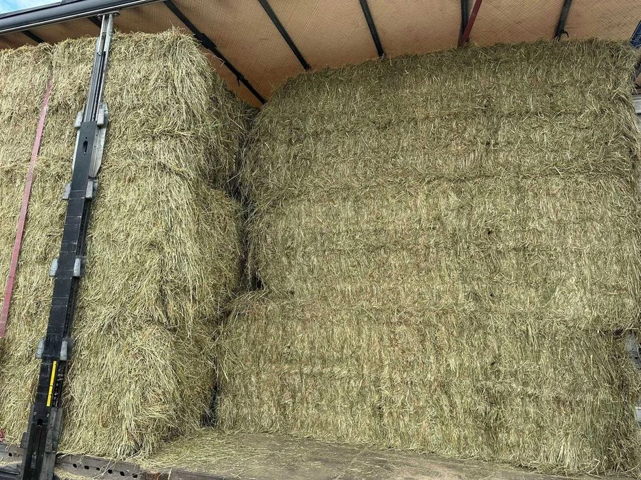 SIANO suche ze stodoły oraz Słoma (bele, kostka) GRATIS, CAŁA POLSKA – zdjęcie 5