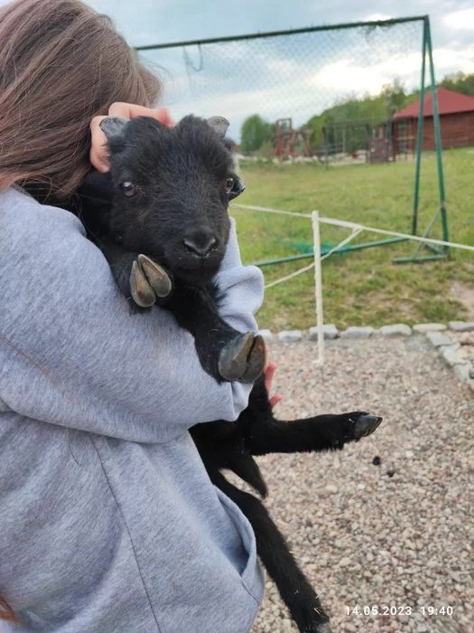 Domek z balia isauna na Kaszubach nad jeziorem mini zoo jazdy konne – zdjęcie 5