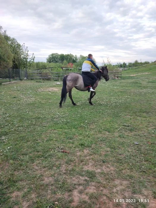 Domek z balia isauna na Kaszubach nad jeziorem mini zoo jazdy konne – zdjęcie 4