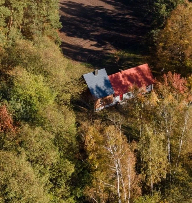 Domek wakacyjny. Dom, domek w lesie. Hetmanów koło Ostrowa Wlkp, – zdjęcie 4