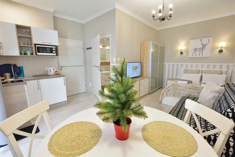 Apartamenty, pokoje, ZŁOTE MODRZEWIE (Duszniki, Zieleniec, Polanica) – zdjęcie 9