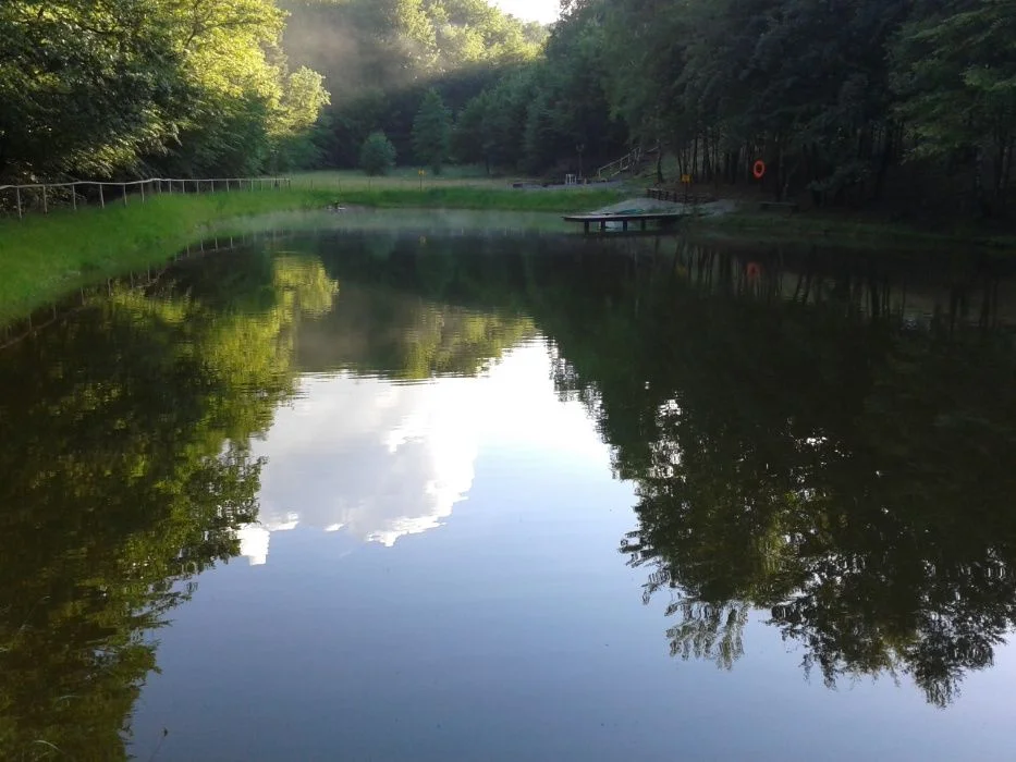 LAST MINUTE LEŚNICZÓWKA domek sauna balia stawy 2,5 ha ogrodz. lesie wyłączność ! – zdjęcie 4