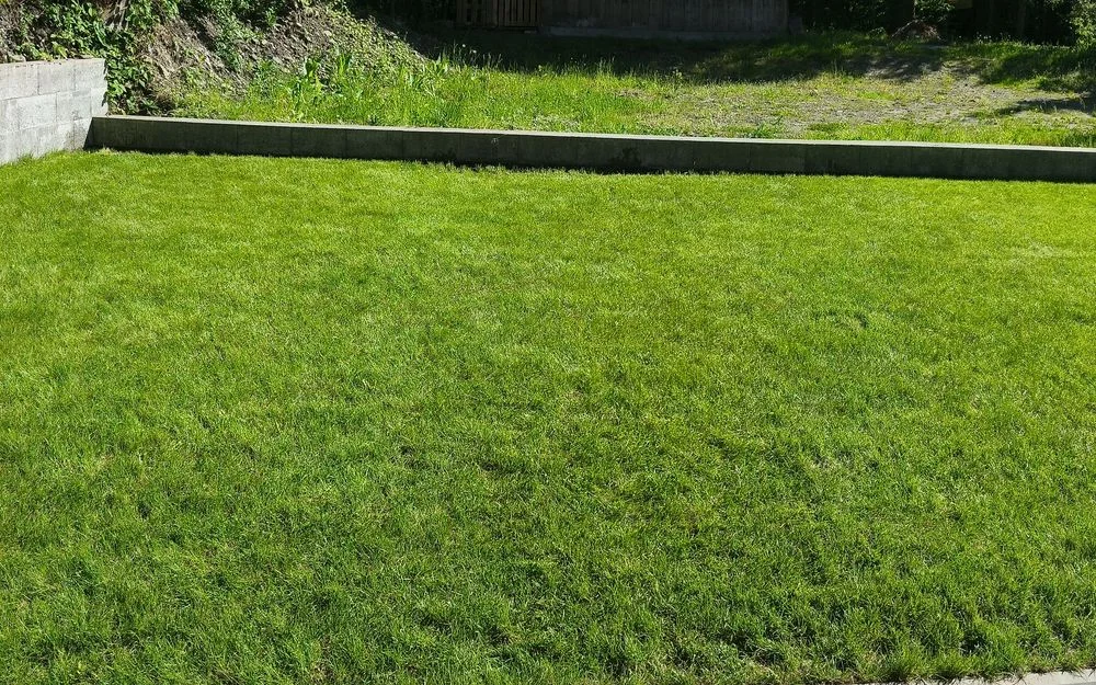 Apartament do wynajęcia (Teraz taniej) – zdjęcie 9