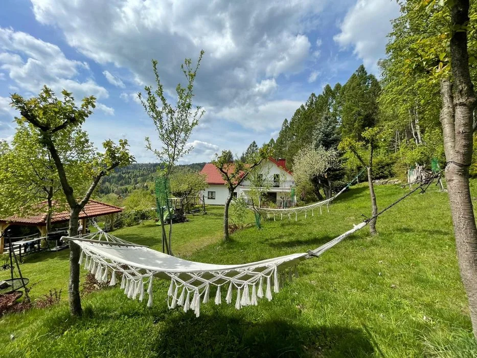 Dom pod lasem pokoje typu studio – zdjęcie 11