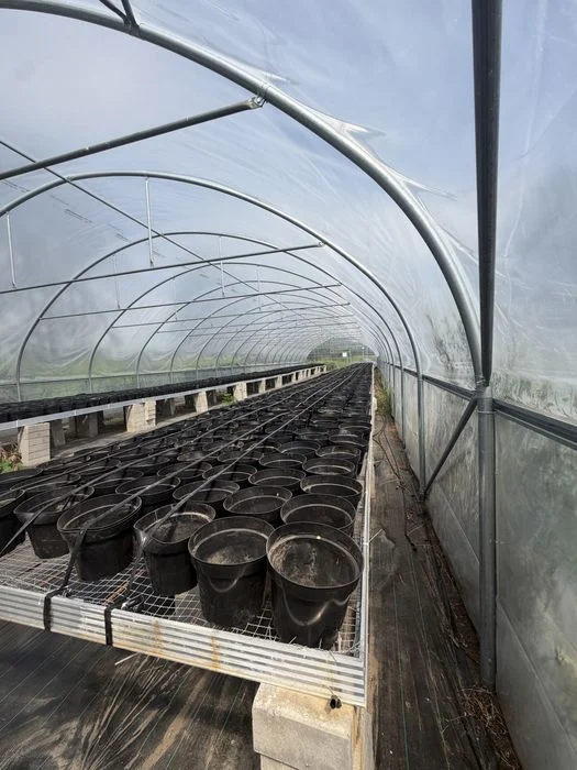 Tunel foliowy profesjonalny 9 × 40 m – 360 m² – podwójna folia – zdjęcie 8