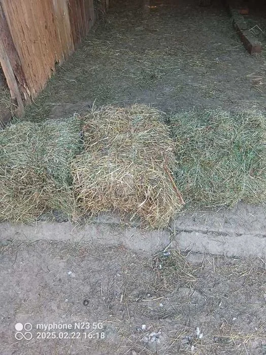 Sprzedam siano 6 zł kostka.