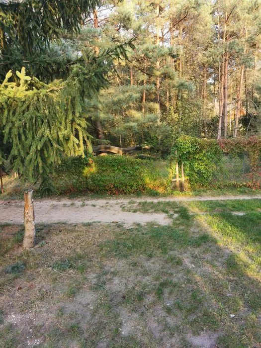 domki letniskowe do wynajecia nad jeziorami – zdjęcie 10