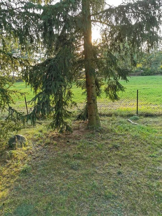 domki letniskowe do wynajecia nad jeziorami – zdjęcie 8