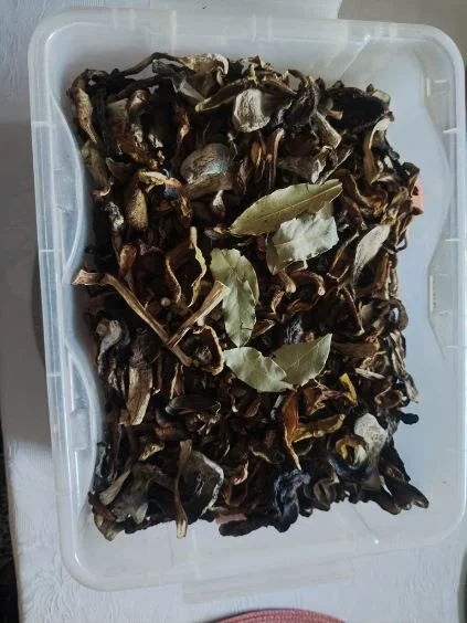 Grzyby suszone kozaki