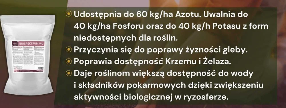 BiospektrumWG 3 kg na 12 ha uprawy, bakterie azotowe, bakterie glebowe – zdjęcie 2