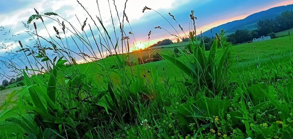Noclegi Bieszczady Solina Polańczyk Średnia Wieś – zdjęcie 7
