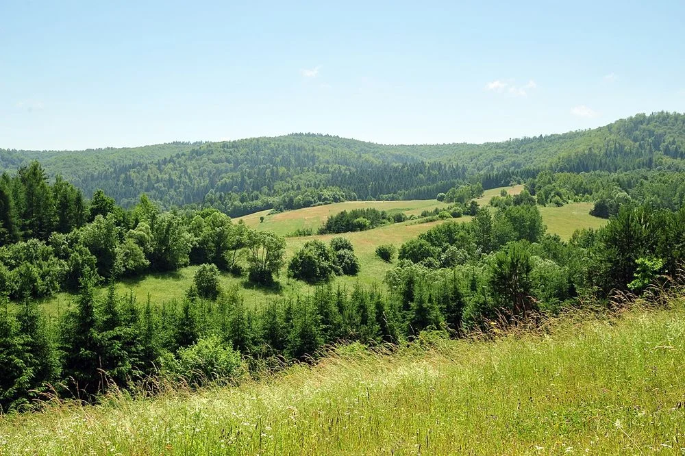 Noclegi Bieszczady Solina Polańczyk Średnia Wieś – zdjęcie 6