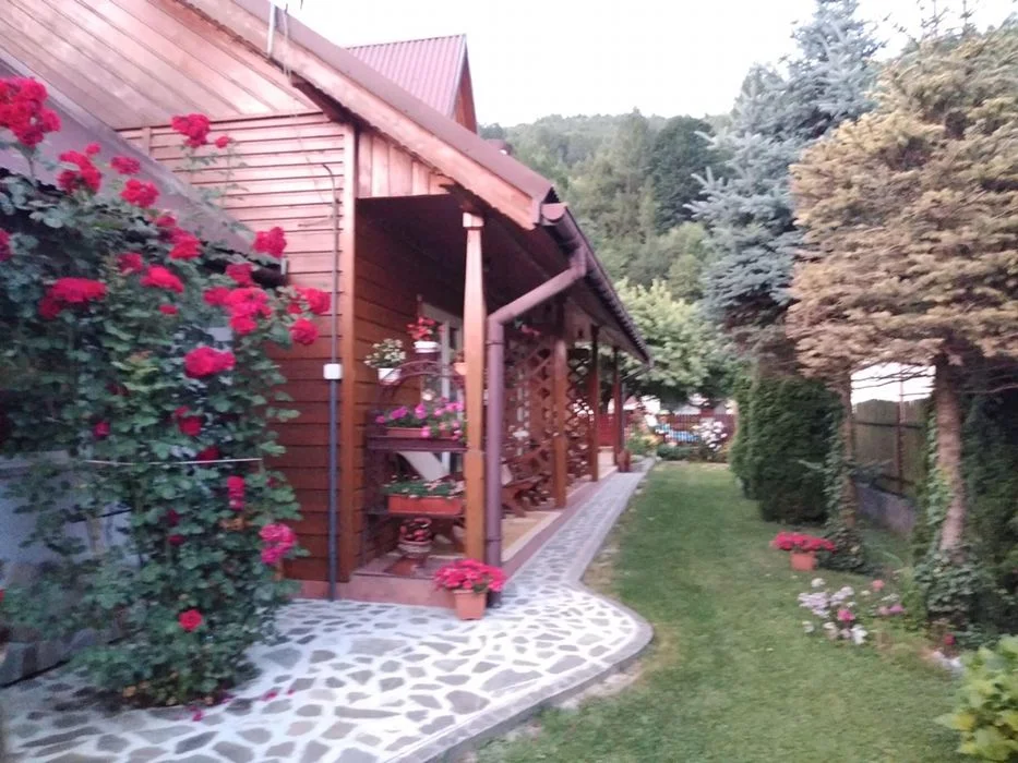 Dom, domek, nocleg w górach, apartamenty, pokoje z widokiem na Pieniny – zdjęcie 3