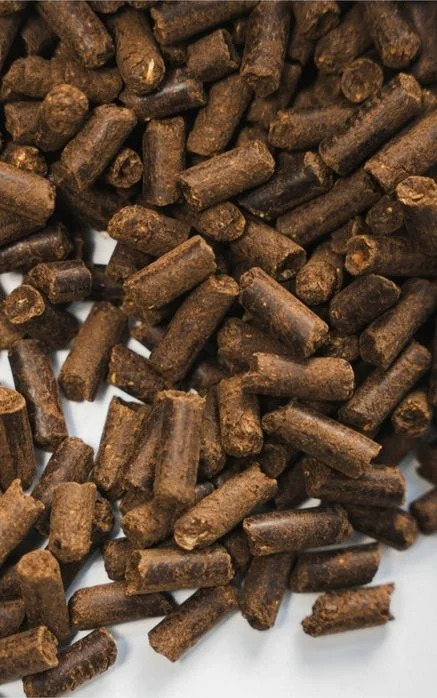 Obornik granulowany kurzy – zdjęcie 3