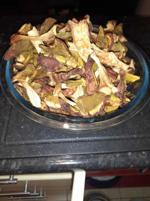 Grzyby suszone - prawdziwek 100 gr.