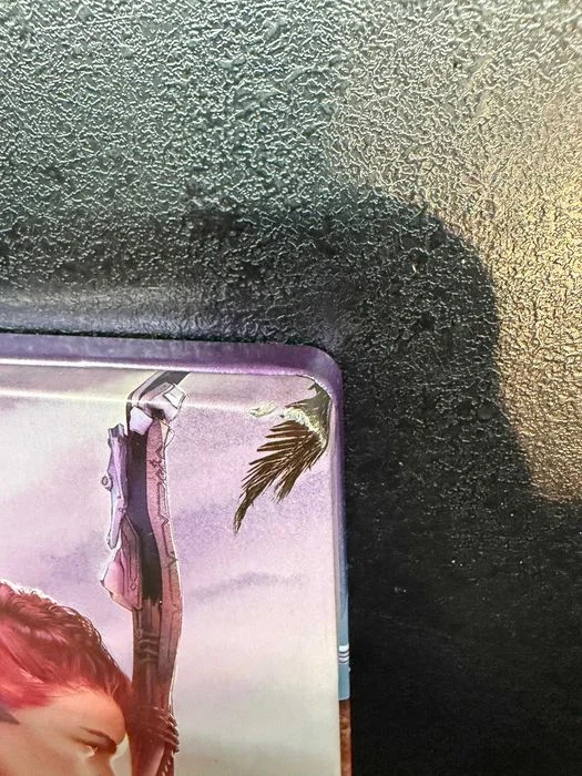 Horizon Forbidden West Edycja Specjalna PS4 Steelbook + Artbook PL – zdjęcie 7