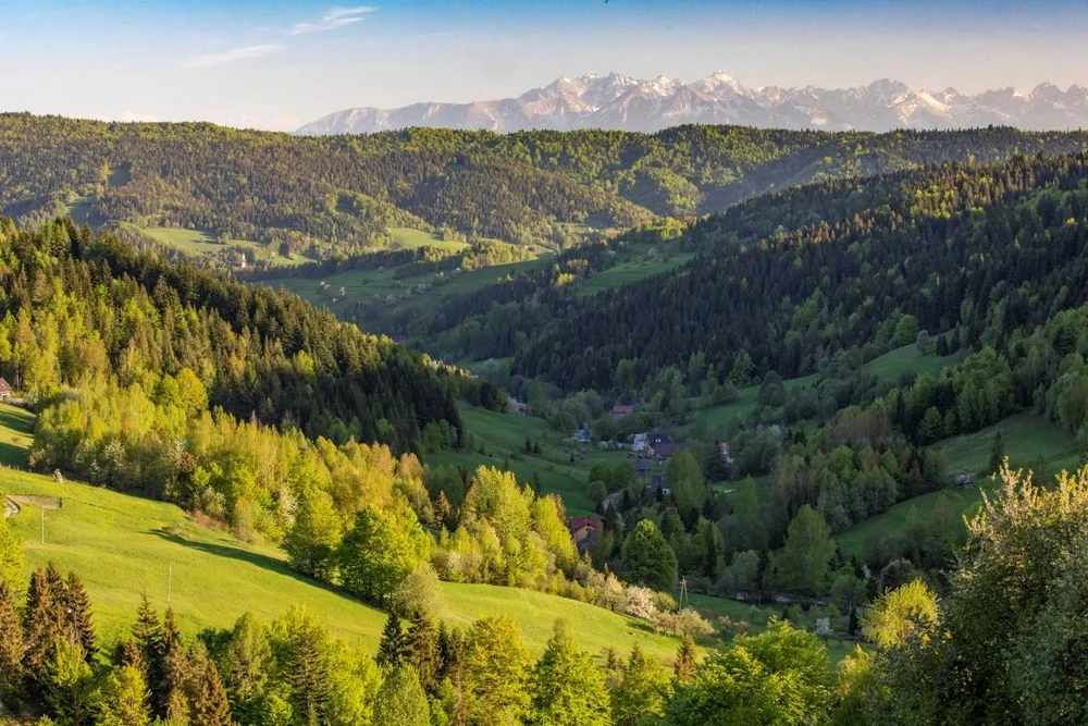 Domek z kominkiem w górach widok na Tatry ferie jacuzzi balia wczasy cisza, Gorce, owce – zdjęcie 4