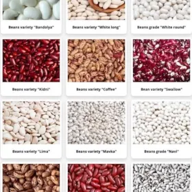 We sell commercial beans wholesale.