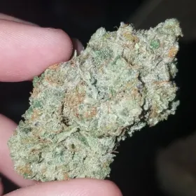 Cookies Gelato 28% THC *CALI PREMIUM WEED*