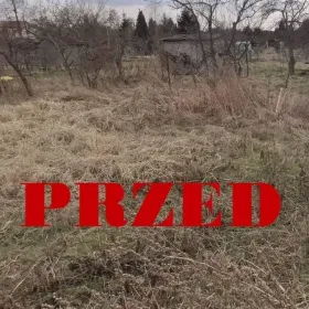 Porządkowanie ogródków działek Sprzątanie po budowie rozbiórka altanek