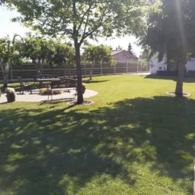 Usługi ogrodnicze, nawodnienia, trawniki, kosiarki automatyczne