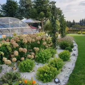 Projektowanie i wykonywanie ogrodów, usługi ogrodnicze, wertykulacja