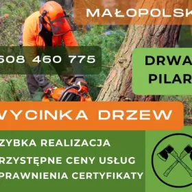 Drwal, ścinka, wycinka, wycinanie drzew, krzewów, wywóz, małopolska