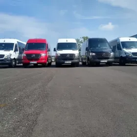 Bus,autobus,autokary,autobusy,busy :57,51,33,29,24,21