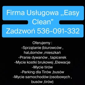 Sprzątanie ,,Easy Clean”