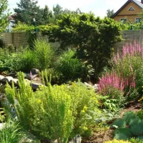 Usługi OGRÓD OD A-Z wykonawstwo z miłością