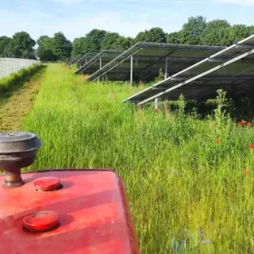 KOSZENIE -MULCZOWANIE - KARCZOWANIE -wycinka drzew - do 50km od Lubina