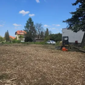 Oczyszczanie działek, mulczer leśny, wycinka drzew, karczowanie.