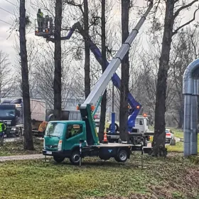 Wycinka drzew, zrębkowanie gałęzi, czyszczenie działek, karczowanie