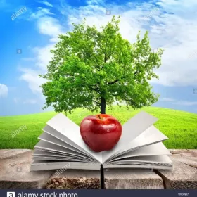 Język polski korepetycje MATURA, EGZAMIN ÓSMOKLASISTY nauczycielka