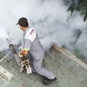 Dezynfekcja, dezynsekcja, deratyzacja, deodoryzacja, ozonowanie.